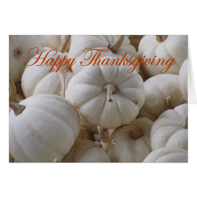 White Erntedank Pumpkins (Vorderseite (Horizontal))