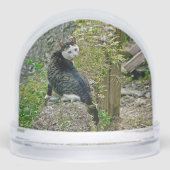 White -faced black kitty schneekugeln (Vorderseite)