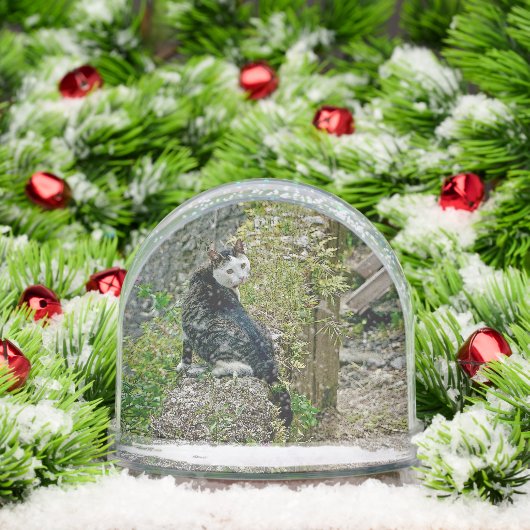 White -faced black kitty schneekugeln (Weihnachten)