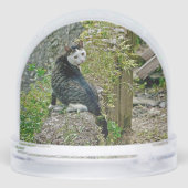 White -faced black kitty schneekugeln (Rückseite)