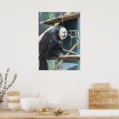 White-faced Saki Monkey Poster (Küche)