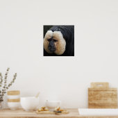 White Faced Saki Monkey Poster (Küche)