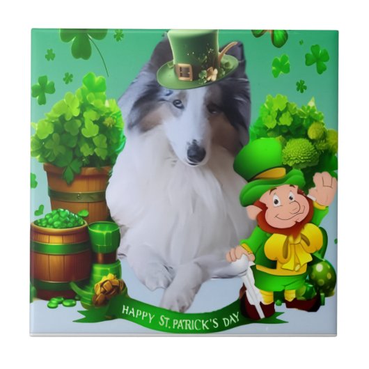 White factor Merle Headed Rough Collie  Fliese (Vorderseite)