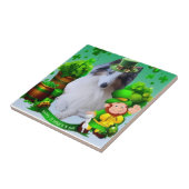 White factor Merle Headed Rough Collie  Fliese (Seite)