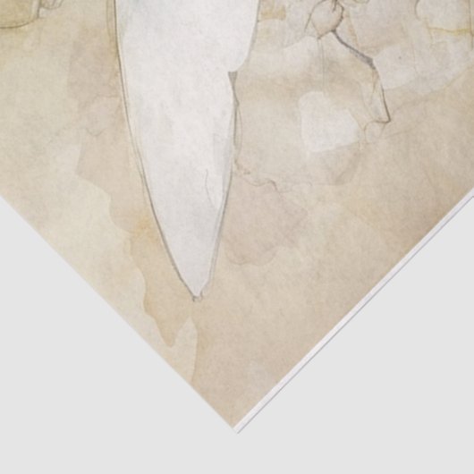 White Fairy Seidenpapier (Ausschnitt)