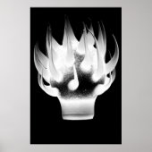 White Flame Poster (Vorne)