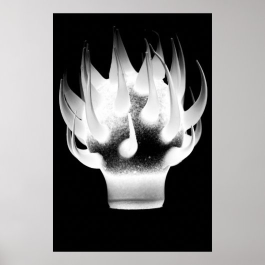White Flame Poster (Vorne)