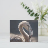 White Flamingo Bird Postkarte (Stehend Vorderseite)