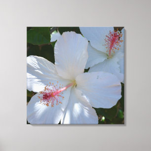 White Floral Frarance Wrapped Canvas Leinwanddruck