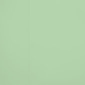 White Floral Lt. Green Tapete (Naht)