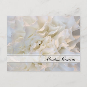 White Floral Spanisch Vielen Dank Postcard Postkarte