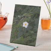 White Flower Photo Sockelschild (In Situ)