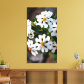 white flower spring flora collection leinwanddruck (Insitu (Wohnzimmer))