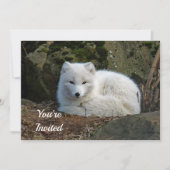 White Fox Foto Geburtstag Einladung (Vorderseite)