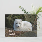 White Fox Foto Geburtstag Einladung (Stehend Vorderseite)