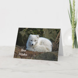 White Fox Foto Glückwunsch Hochzeitskarte Karte