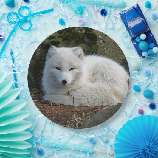 White Fox Foto Pappteller (Party)