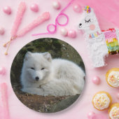 White Fox Foto Pappteller (Party)