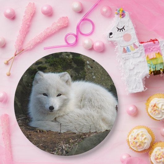 White Fox Foto Pappteller (Party)