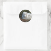 White Fox Foto Runder Aufkleber (Tasche)