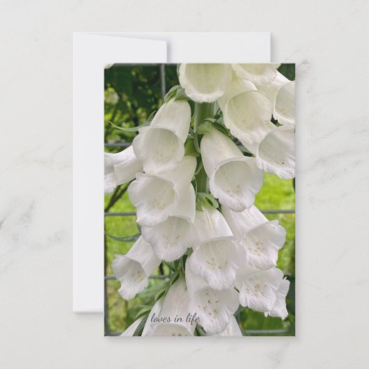 White Foxglove Mitteilungskarte (Vorderseite)