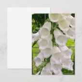 White Foxglove Mitteilungskarte (Vorne/Hinten)