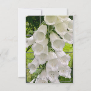 White Foxglove Mitteilungskarte