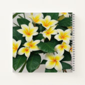 White Frangipani Blume Personalisiert Notebook Notizblock (Rückseite)