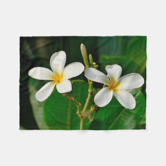White Frangipani Fleecedecke (Vorderseite (Horizontal))