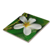 White Frangipani Fliese (Seite)