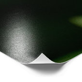 White Frangipani Fotodruck (Ecke)