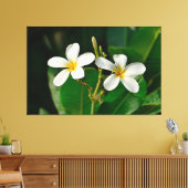 White Frangipani Leinwanddruck (Insitu (Wohnzimmer))