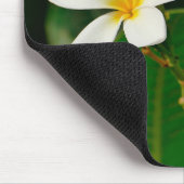 White Frangipani Mousepad (Ecke)