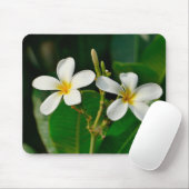 White Frangipani Mousepad (Mit Mouse)