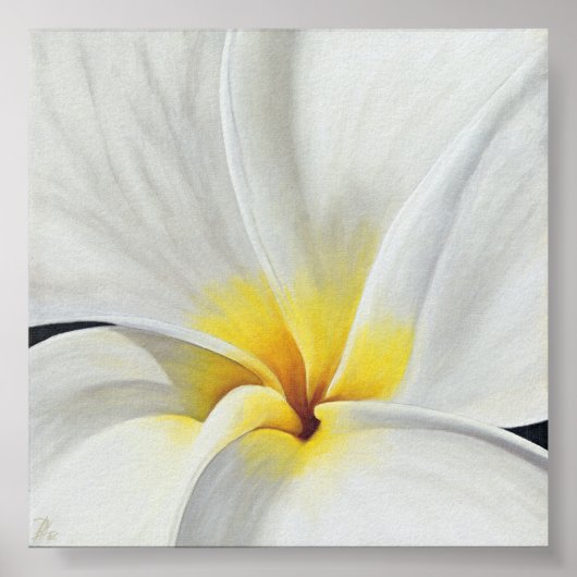 White Frangipani Poster (Vorne)