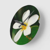 White Frangipani Runde Wanduhr (Winkel)