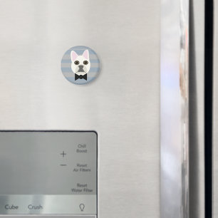 White French Bulldog, Streifen Magnet