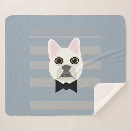 White French Bulldog, Streifen Sherpadecke (Vorderseite (Horizontal))