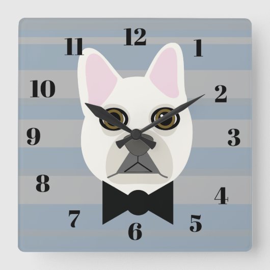 White French Bulldog, Stripes Quadratische Wanduhr (Vorderseite)