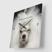 White French Poodle Pet Salon Wall Clock Quadratische Wanduhr (Winkel)