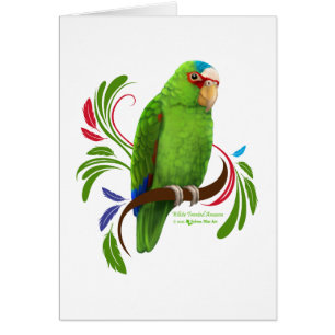 White Frontend Amazon