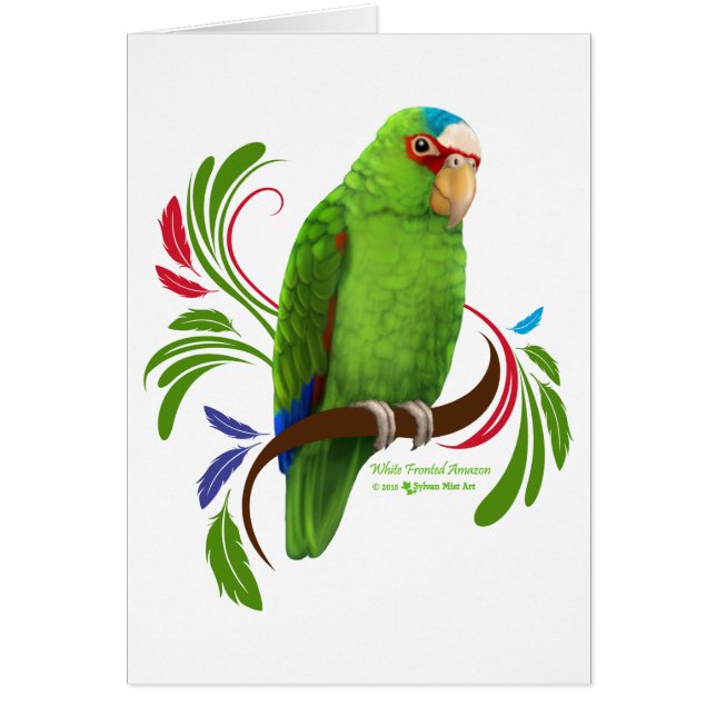 White Frontend Amazon (Vorne)