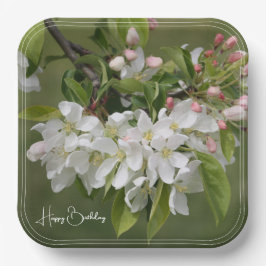 White Fruit Blossom Square Pappteller