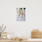 White Fuchsia Hawkshead Summer Blume Poster (Küche)