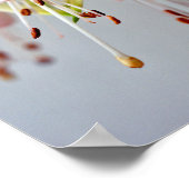 White Fuchsia Hawkshead Summer Blume Poster (Ecke)