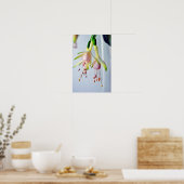 White Fuchsia Hawkshead Summer Blume Poster (Küche)
