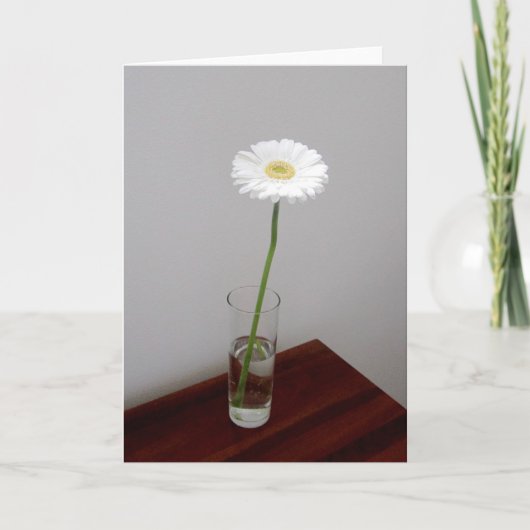 White Garbera 2 Card Karte (Vorderseite)