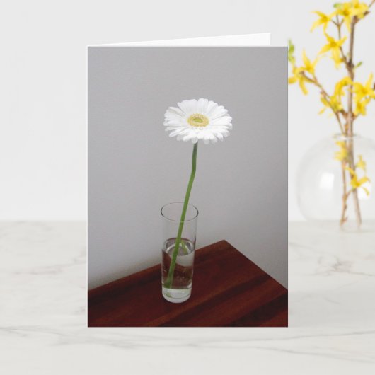 White Garbera 2 Card Karte (Gelbe Blume)