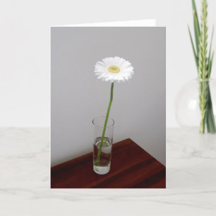 White Garbera 2 Card Karte