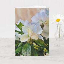White Gardenia Blume Art Note Card